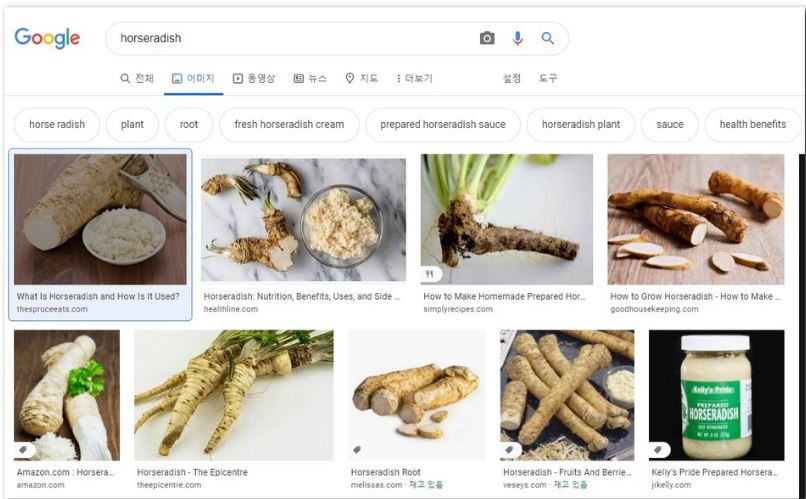 구글 사진검색 이미지 찾기 방법