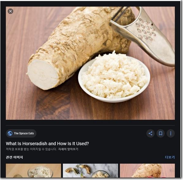구글 사진검색 이미지 찾기 방법